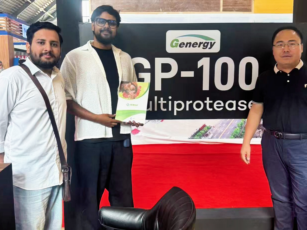 1761527536973287.jpg 3.JPG